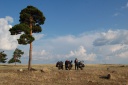 pamir_min_064.jpg