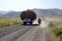 pamir_min_492.jpg