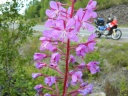 DSCN0301.JPG