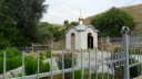 SAM_0452.JPG