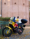 PA084456.jpg
