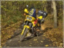 a003_Resized_1.jpg