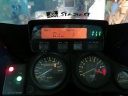 IMG_3755.JPG