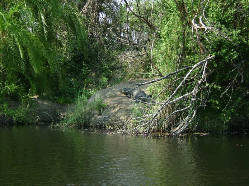      Okavango