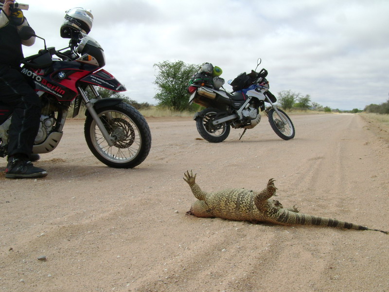 Africa BMW Dakar