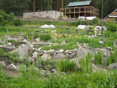Алтайский японский сад.