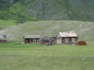 Алтайское дикое поселение.